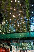 Climbing plants and lights on the ceiling, Fuenf Hoefe, Munich, Upper Bavaria, Bavaria, Germany