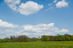 Monopteros temple, Englischer Garten, park in spring, Munich, Upper Bavaria, Germany, Europe