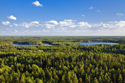 Aussicht vom Aussichtsturm Aboda über Wälder und Seen, Aboda Klint, Smaland, Südschweden, Schweden, Skandinavien, Europa