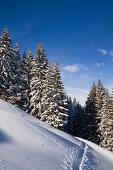 Winterlandschaft mit Schneeschuh-Spur in Gipfelnähe des Zwiesel, Landkreis Bad Tölz, Oberbayern, Deutschland, Europa