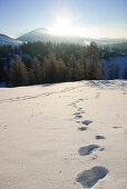 Spuren im Schnee, Teichalm, Steiermark, Österreich