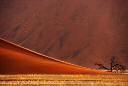 Red sand dunes in Sossusvlei, Sossusvlei, Namib Naukluft National Park, Namib desert, Namib, Namibia, Africa