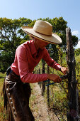 Zapata Ranch ist eine Arbeitsranch in der Touristen mitarbeiten können, Zaun reparieren, Alamosa, Alamosa County, Colorado, USA, Nordamerika, Amerika