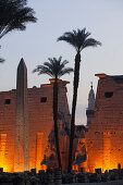 Entrance area of Luxor Temple in the evening light, Luxor (ancient Thebes), Luxor, Egypt, Africa