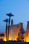 Entrance area of Luxor Temple in the evening light, Luxor (ancient Thebes), Luxor, Egypt, Africa