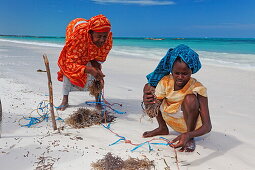 Arbeiterinnen in einer Meeresalgenfarm, Jambiani, Sansibar, Tansania, Afrika