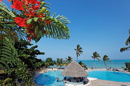 Pool of the Karafuu Resort on the waterfront, Dongwe, Zanzibar, Tanzania, Africa