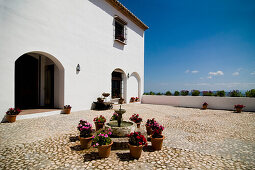 Courtyard of Hotel, Antequera, Andalucia, Spain