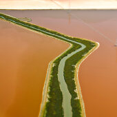 Irrigation Ditch Running Through Farmland, Santa Clara County, California, USA
