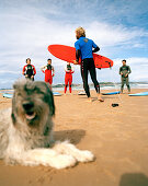 Surf instructor with dog and pupils, Escuela cantabria de surf, Playa de Somo near Santander, Cantabria, Spain