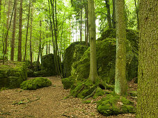 Druidenhain, Little Switzerland, Upper Franconia, Bavaria, Germany