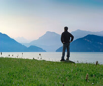 Mann blickt über Vierwaldstättersee am Morgen, Weggis, Kanton Luzern, Schweiz