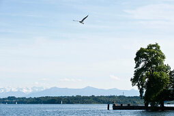 View over lake Starnberg to the Alps, Tutzing, Bavaria, Germany