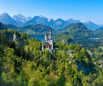 Blick auf Schloss Neuschwanstein mit Tannheimer Bergen im Hintergrund, Ostallgäu, Deutschland, Europa