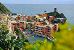 Blick auf bunte Häuser und Hafen, Vernazza, Cinque Terre, Ligurien, Italien, Europa