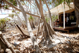 Luxuszelt auf Stelzen und Hängematte am Strand unter Pandanus Bäumen, Wilson Island Resort, Wilson Island, Teil des Capricornia Cays National Park, Great Barrier Reef Marine Park, UNESCO Weltnaturerbe, Queensland, Australien