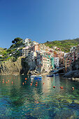 Blick über Bucht mit Hafen auf Riomaggiore, Cinque Terre, Ligurien, Italien