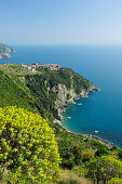 Blick auf Corniglia, Cinque Terre, Ligurien, Italien