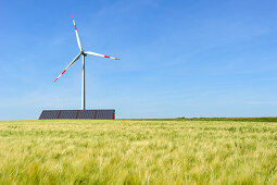 Windkraftanlage steht über Sonnenkollektor mit Getreidefeld im Vordergrund, Ulm, Baden-Württemberg, Deutschland, Europa