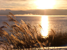 Winter scenery in Gstadt, Chiemsee, Bavaria, Germany