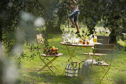 Olivenhain mit Gartentisch, Affi, Gardasee, Venetien, Italien