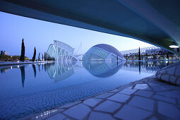 Museo de las Ciencias Príncípe Felipe, L'Hemisferic, Architect Santiago Calatrava, Valencia, Spain