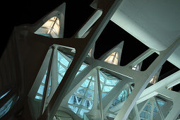 Museo de las Ciencias Príncípe Felipe, Architect Santiago Calatrava, Valencia, Spain