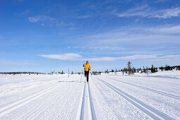 Woman cross country skiing in trail, Lillehammer, Oppland, Norway