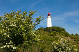 Lighthouse at Dornbusch, Hiddensee island, Baltic Sea, Mecklenburg-West Pomerania, Germany