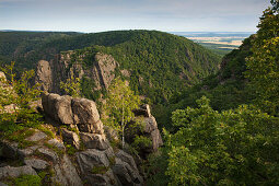 Felsformation, Hexentanzplatz, Thale, Harz, Sachsen-Anhalt, Deutschland