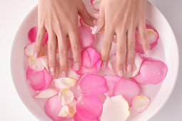 Frau, Hände in einer Schale mit Rosenblättern und Wasser