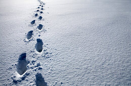 Footprints in Snow