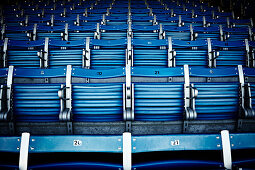 Rows of Blue Stadium Seats