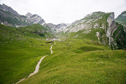 Alpine meadow at Meglisalp, Alpsteingebirge, Saentis, Appenzeller Land, Switzerland, Europe