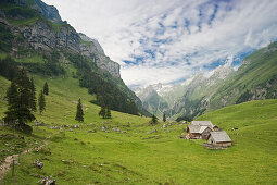 Alp with alpine hut at Seealpsee, Alpsteingebirge, Saentis, Appenzeller Land, Switzerland, Europe