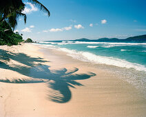 Shadow of palm trees on the beach Anse Fourmis, eastern La Digue, Republic of Seychelles, Indian Ocean