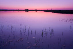 Lake Neusiedl at sunset, Fertoe National Park, Burgenland, Austria, Europe