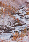 Stream flowing past birch trees in Winter, Valldalen, Norway