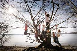 Children playing along the lakeshore, climbing a tree, Leoni castle grounds, Leoni, Berg, Lake Starnberg, Bavaria, Germany