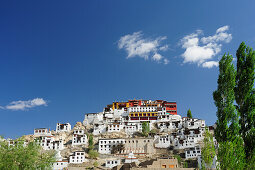 Kloster Thikse, Thiksey, Leh, Industal, Ladakh, Jammu und Kashmir, Indien