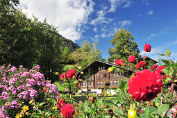 Bauernhaus mit Bauerngarten, Meiringen, Berner Oberland, Kanton Bern, Schweiz