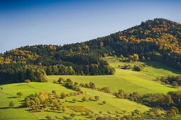 Glottertal, nahe Freiburg im Breisgau, Schwarzwald, Baden-Württemberg, Deutschland