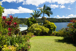 Lake Barrine Tea House, restaurant at Lake Barrine, Crater Lakes National Park, Atherton Tablelands, Queensland, Australia