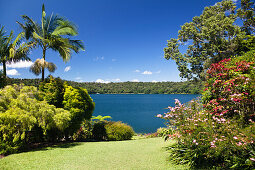 Kratersee Lake Barrine, Crater Lakes Nationalpark, Atherton Tablelands, Queensland, Australien