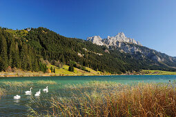 Lake Haldensee and village of Haldensee with Rote Flueh, lake Haldensee, Tannheimer range, Allgaeu range, Tyrol, Austria, Europe