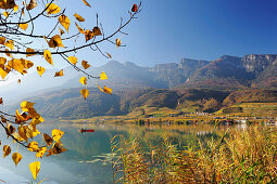 Lake Kalterer See with vineyards in autumn colours and Penegal range, lake Kalterer See, South Tyrol, Italy, Europe
