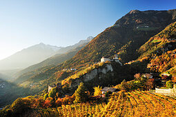 Castle Schloss Tirol with vineyards in autumn colours and Texel range in background, Schloss Tirol, Meran, South Tyrol, Italy, Europe