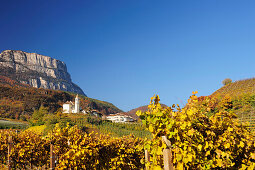 Herbstlich verfärbte Weinberge mit Kirche und Felsberge im Hintergrund, Eppan, Südtirol, Italien, Europa