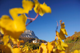 Herbstlich verfärbte Weinberge mit Kirche und Felsberge im Hintergrund, Eppan, Südtirol, Italien, Europa
