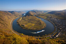 View from Bremmer Calmont vineyard onto the Moselle sinuosity, Bremm, Moselle river, Rhineland-Palatinate, Germany, Europe